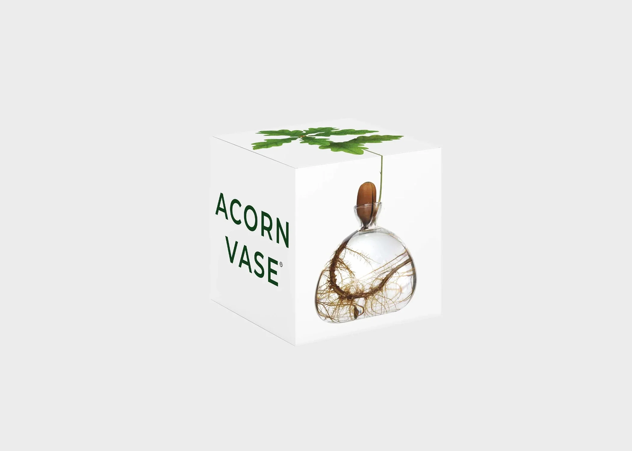 Acorn Vase - Image 2
