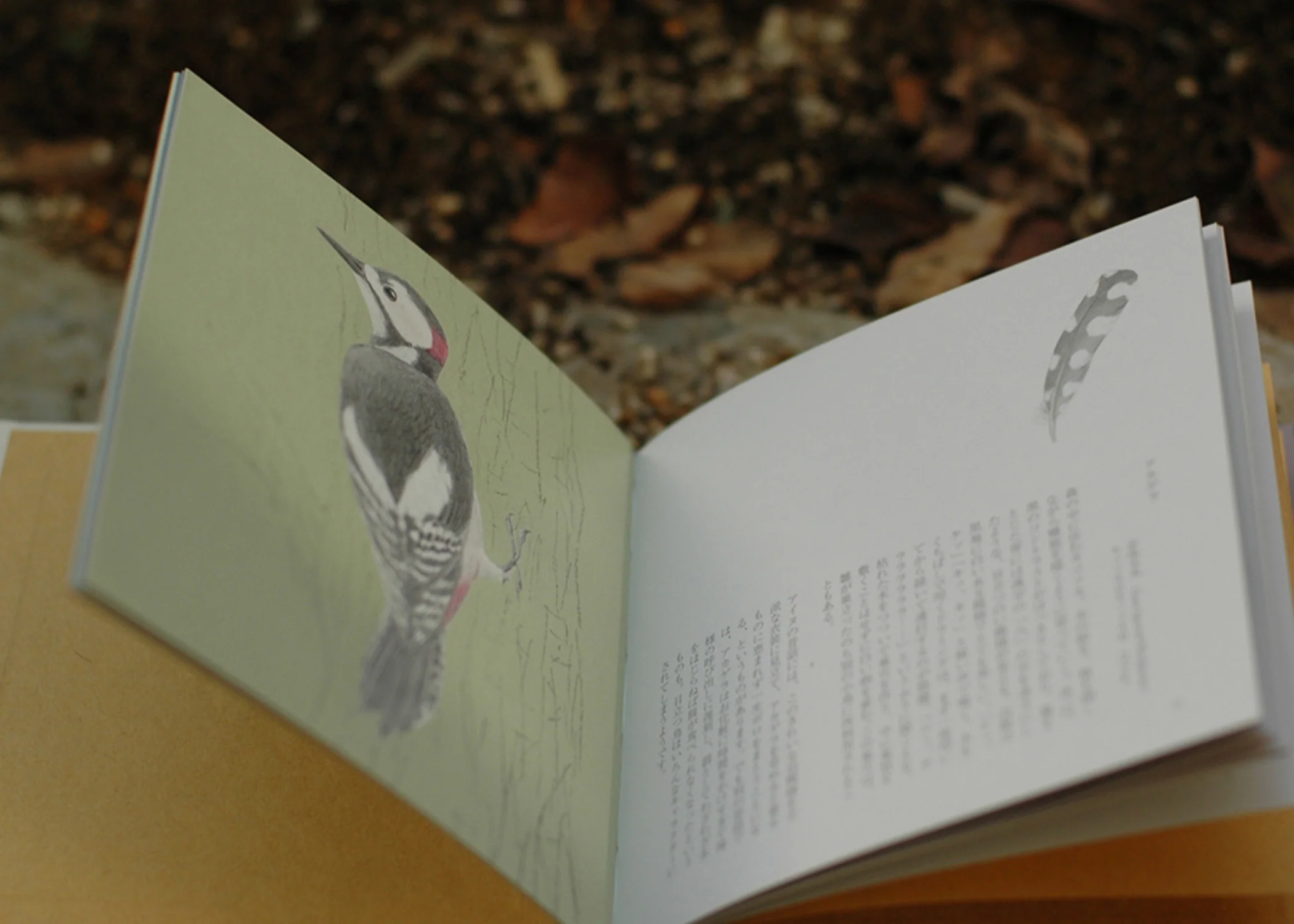 Bird Illustrations Book - Image 2