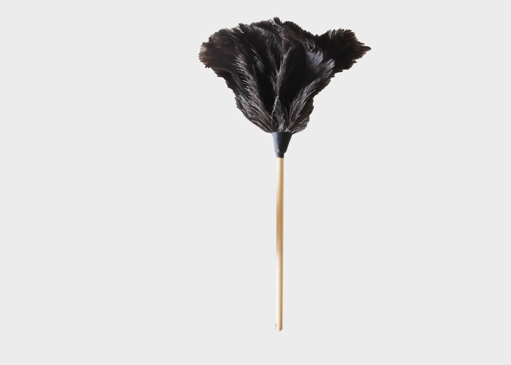 Feather Duster - Image 4