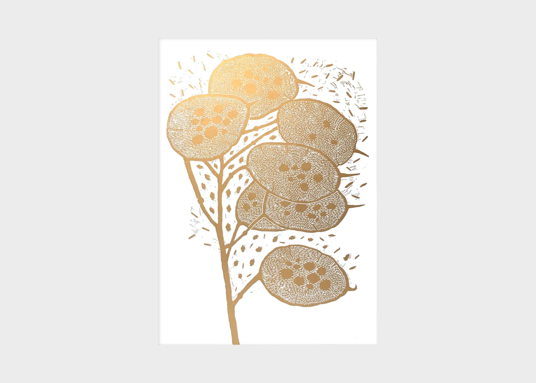 Print No. 512