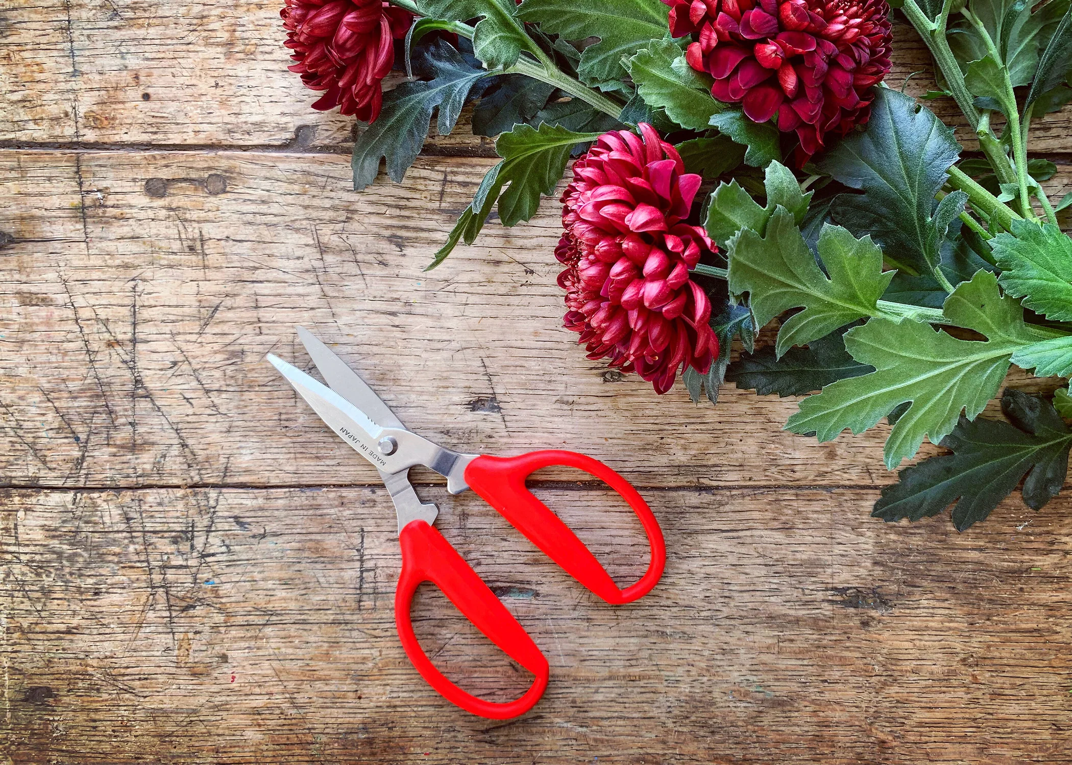 Steel Utility Scissors - Image 2